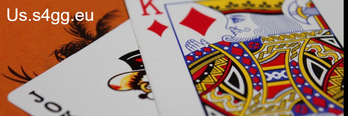 us.s4gg.eu